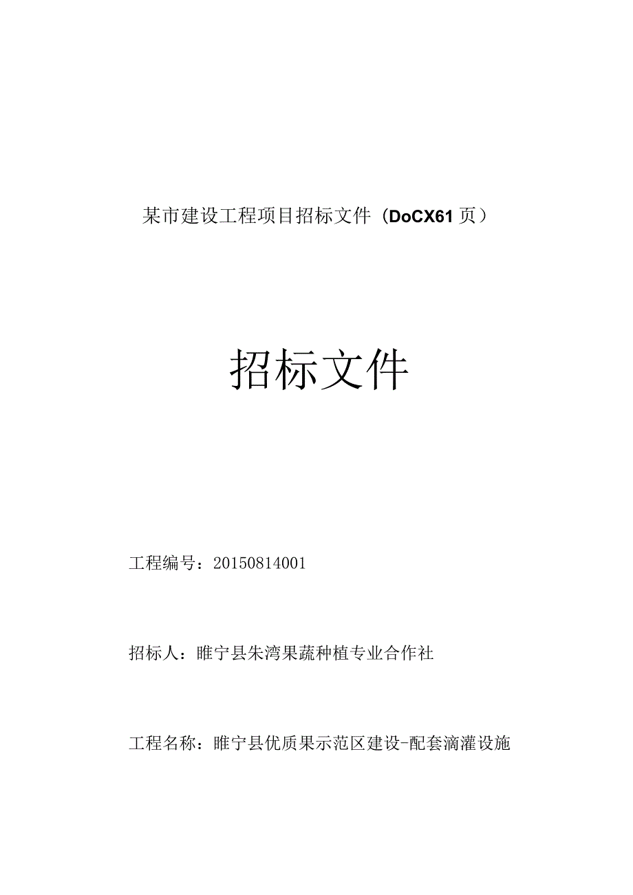 某市建设工程项目招标文件(DOCX 61页).docx_第1页