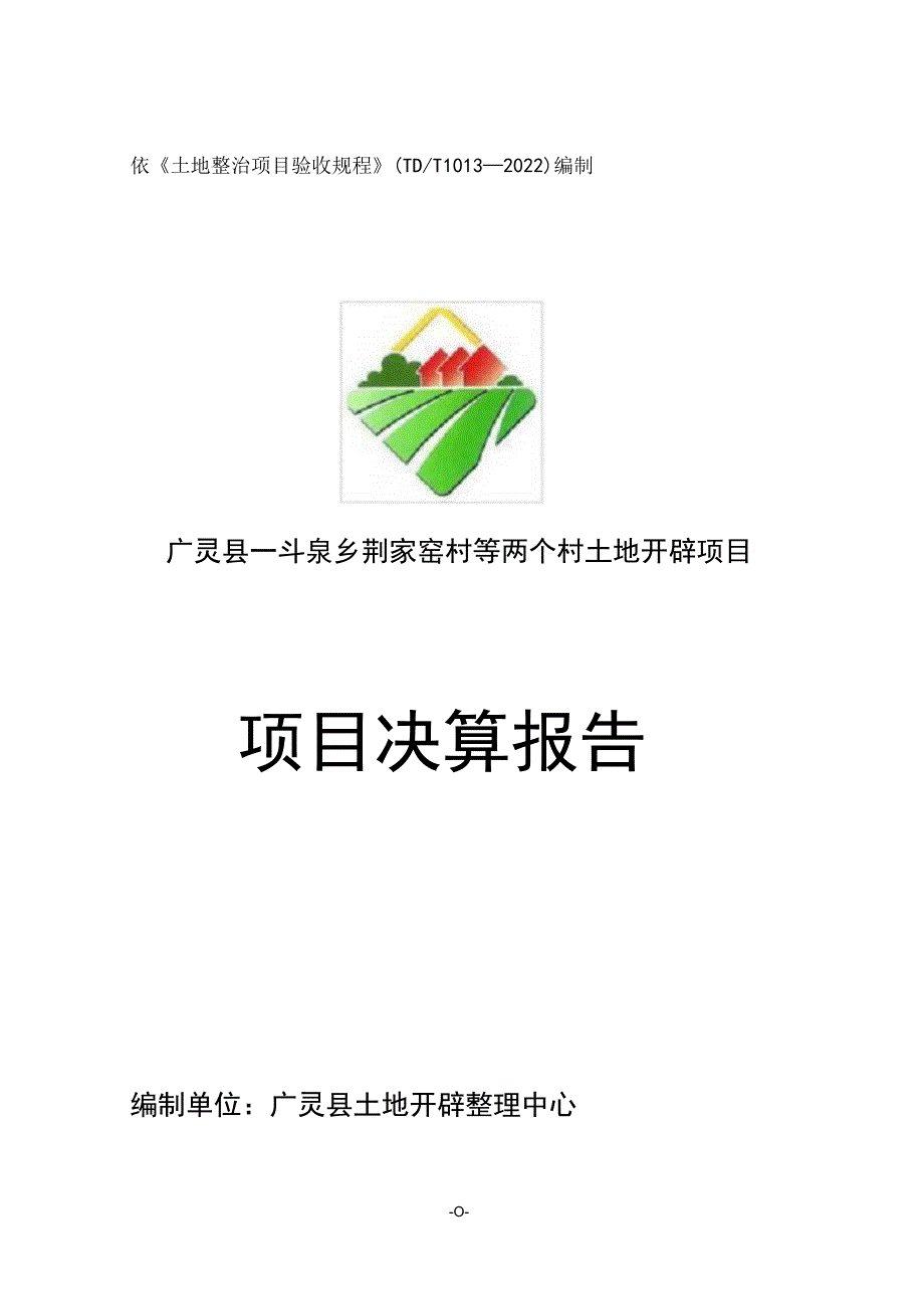 项目决算报告.docx_第1页