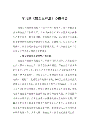 应急管理学习《安全生产法》心得感悟十篇合集.docx