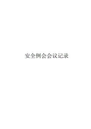 某某河段综合治理工程安全例会会议记录.docx