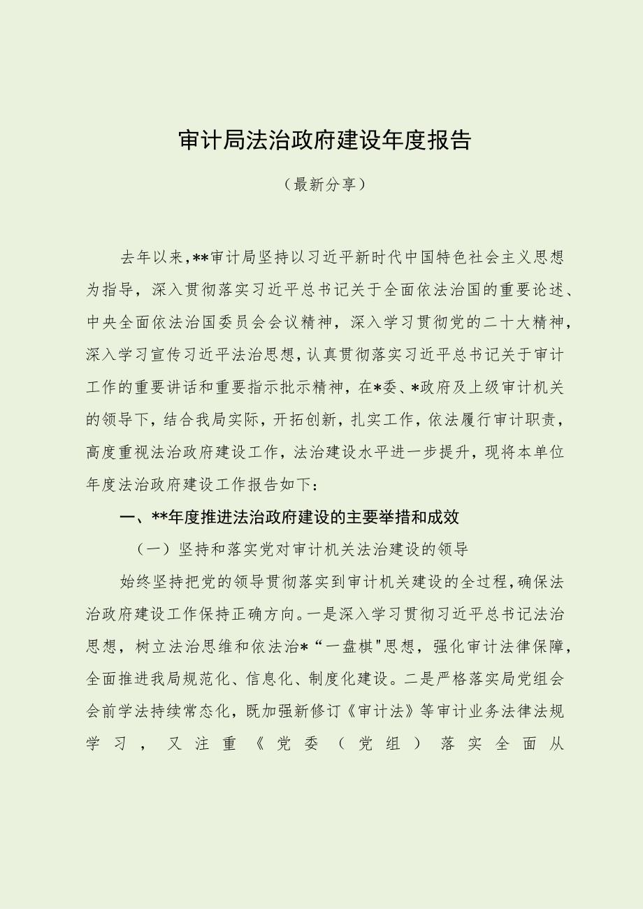 审计局法治政府建设年度报告.docx_第1页