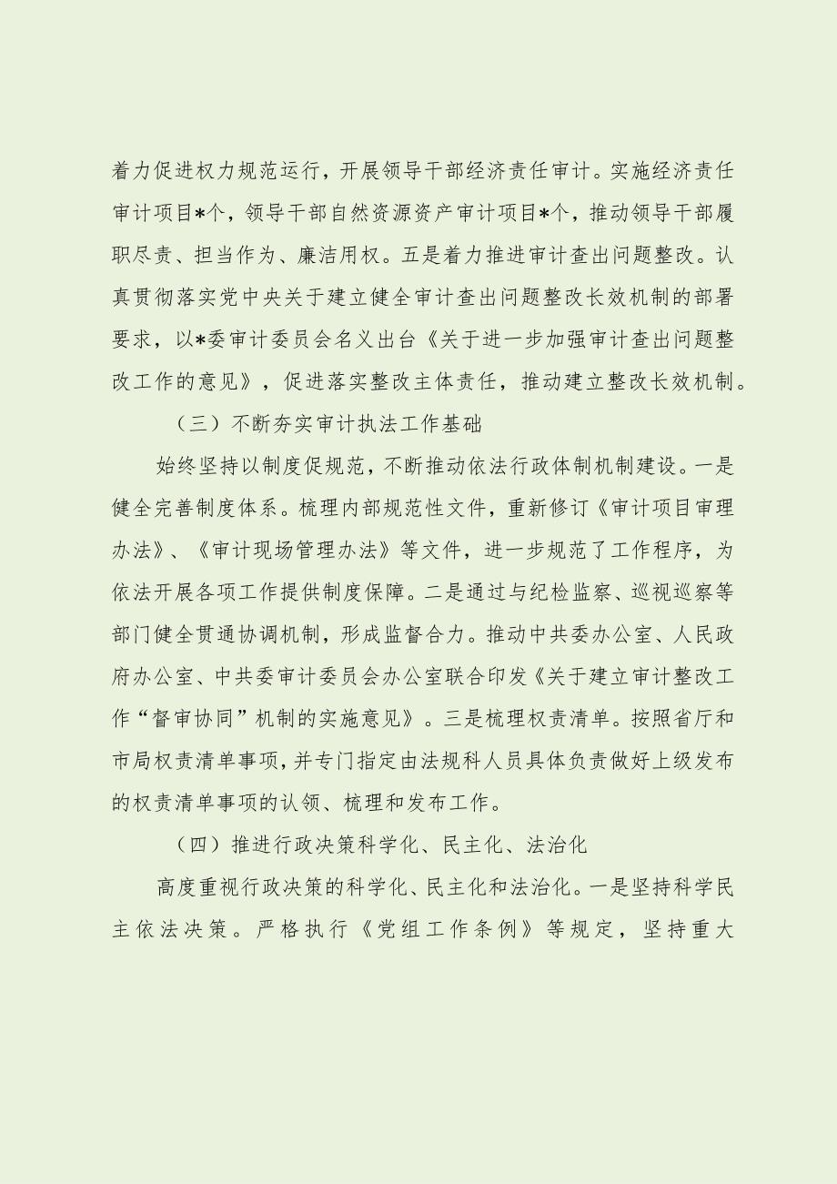 审计局法治政府建设年度报告.docx_第3页