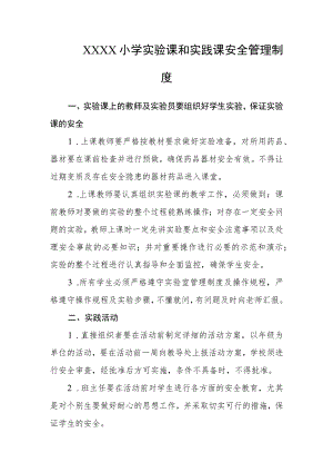 小学实验课和实践课安全管理制度.docx