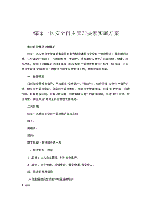 安全自主管理要素实施方案（9页）.docx