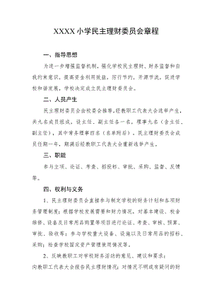 小学民主理财委员会章程.docx