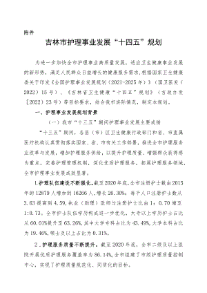 吉林市护理事业发展“十四五”规划.docx