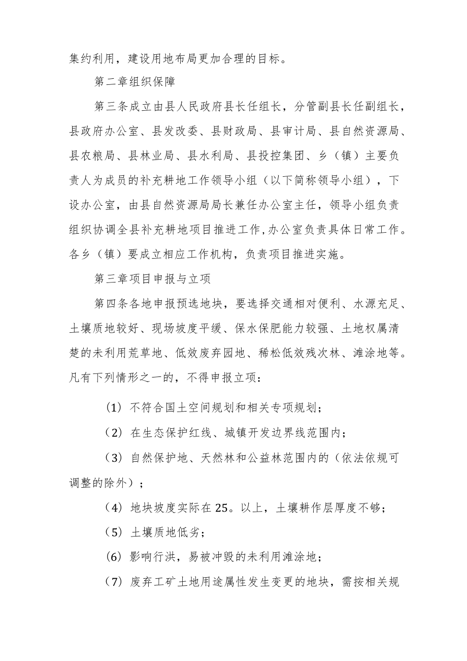 2023年XX县补充耕地项目实施管理办法.docx_第2页