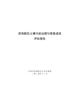 滨海新区土壤污染治理与修复成效评估报告.docx