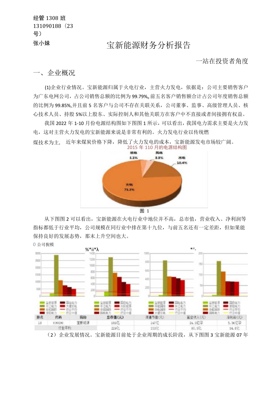 宝新能源财务分析报告-从投资者角度.docx_第1页