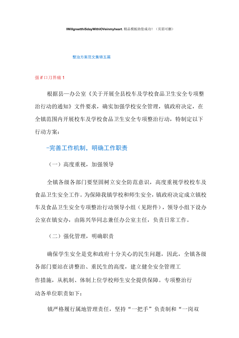 整治方案范文集锦五篇.docx_第1页