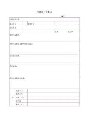 预算执行分析表.docx