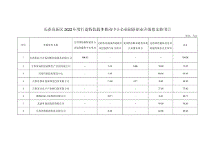 长春高新区2022年度打造特色载体推动中小企业创新创业升级拟支持项目.docx