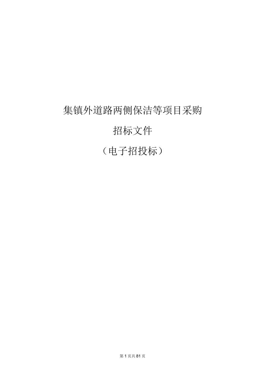 集镇外道路两侧保洁等项目采购招标文件.docx_第1页