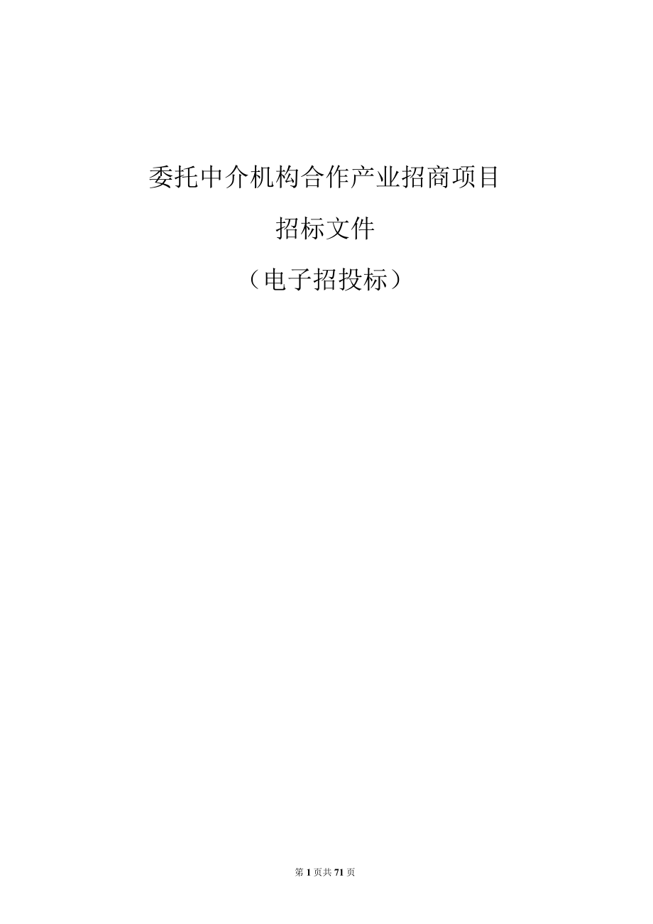 委托中介机构合作产业招商项目招标文件.docx_第1页