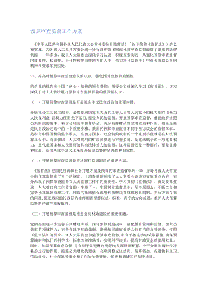 预算审查监督工作计划.docx