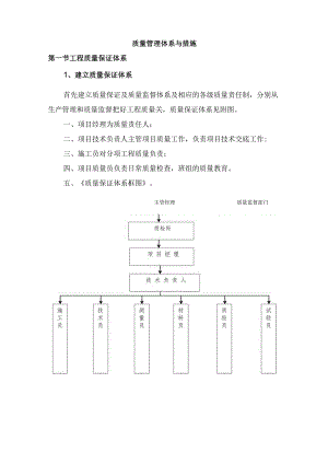 质量管理体系与措施(11).docx