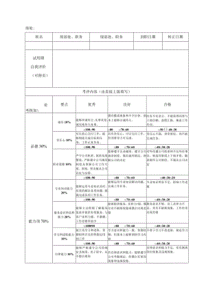 职务晋升试用期考核申报表.docx