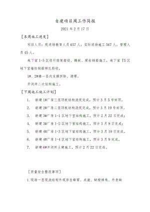 自建项目周工作简报.docx