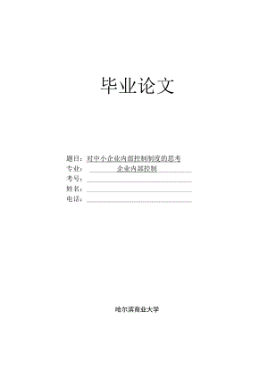 财务管理资料2023年整理-对中小企业内部控制制度的思考.docx