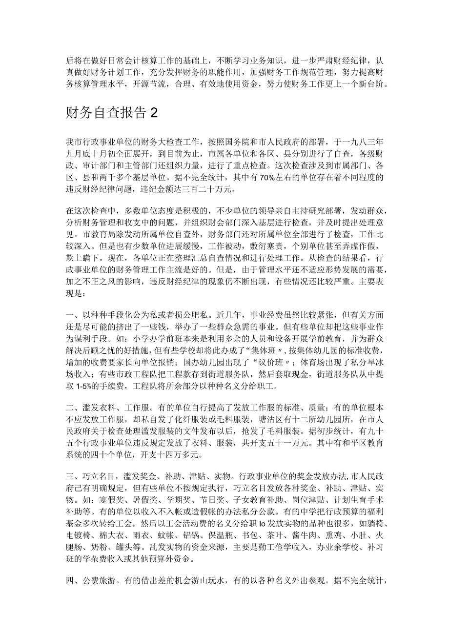 财务自查报告.docx_第2页