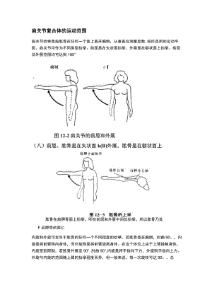 肩关节力学分析.docx