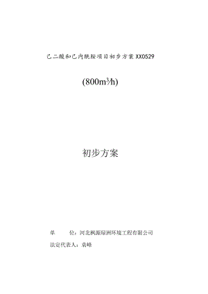 己二酸和己内酰胺项目初步方案XX0529.docx