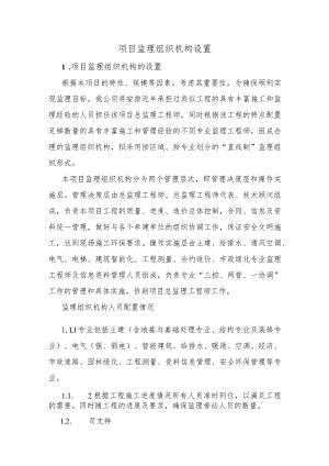 项目监理组织机构设置.docx