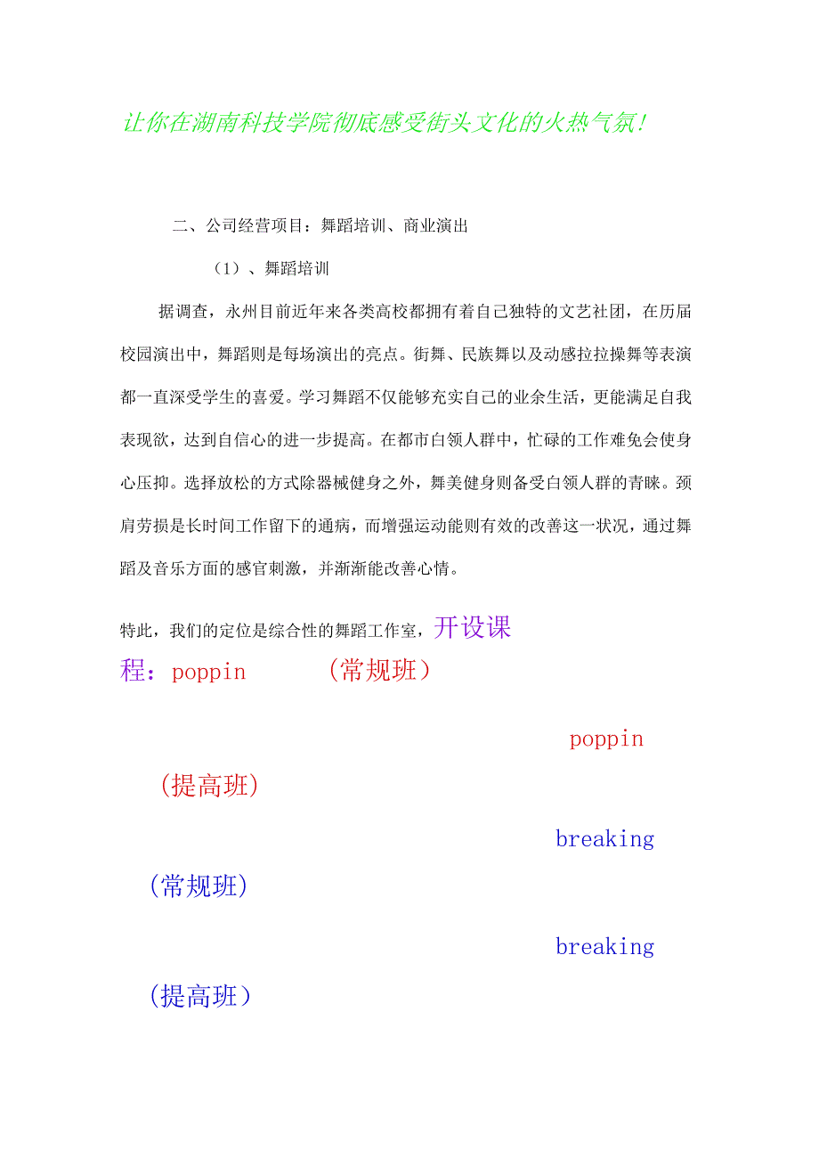 舞蹈工作室创业计划书.docx_第2页