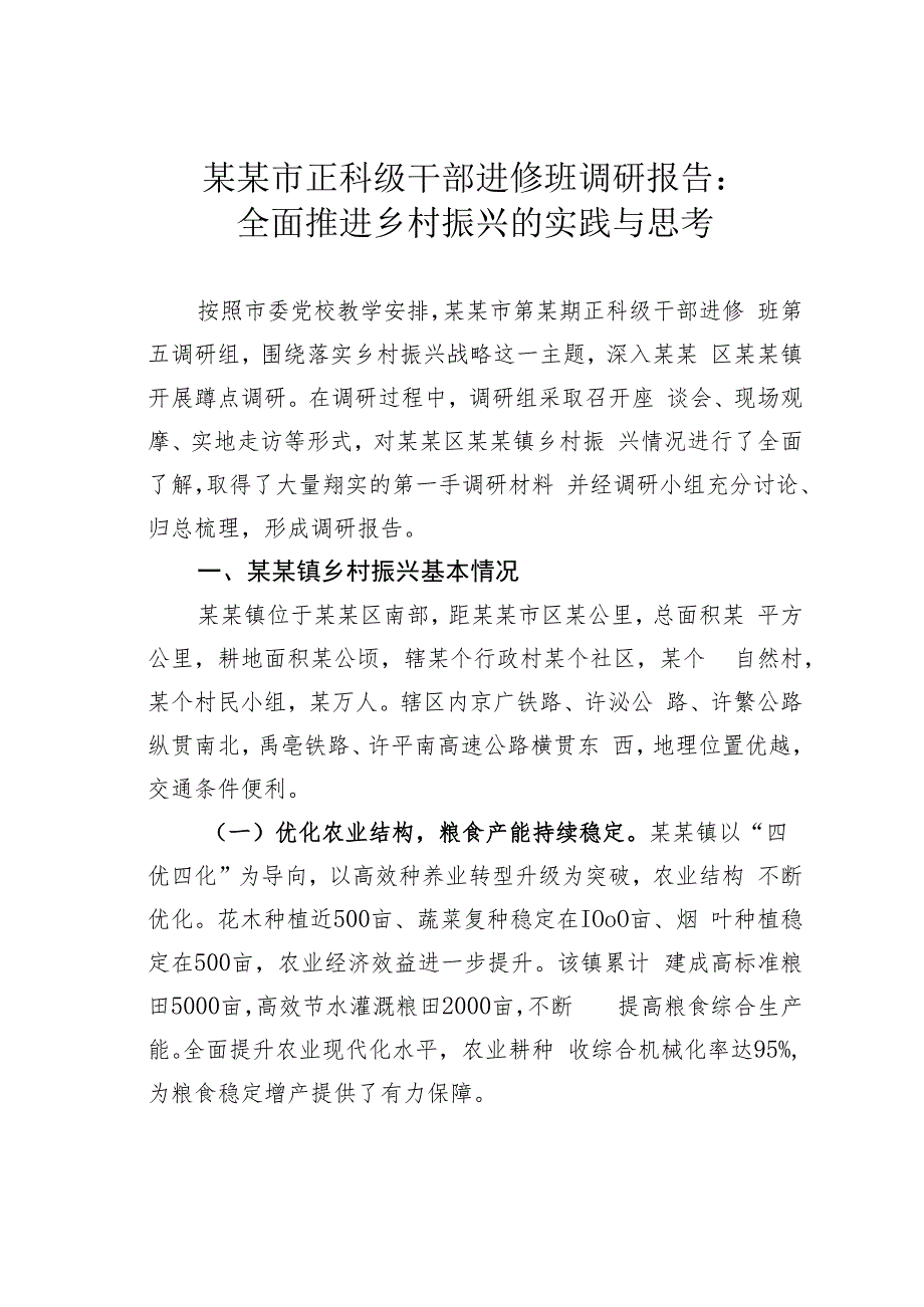 某某市正科级干部进修班调研报告：全面推进乡村振兴的实践与思考.docx_第1页