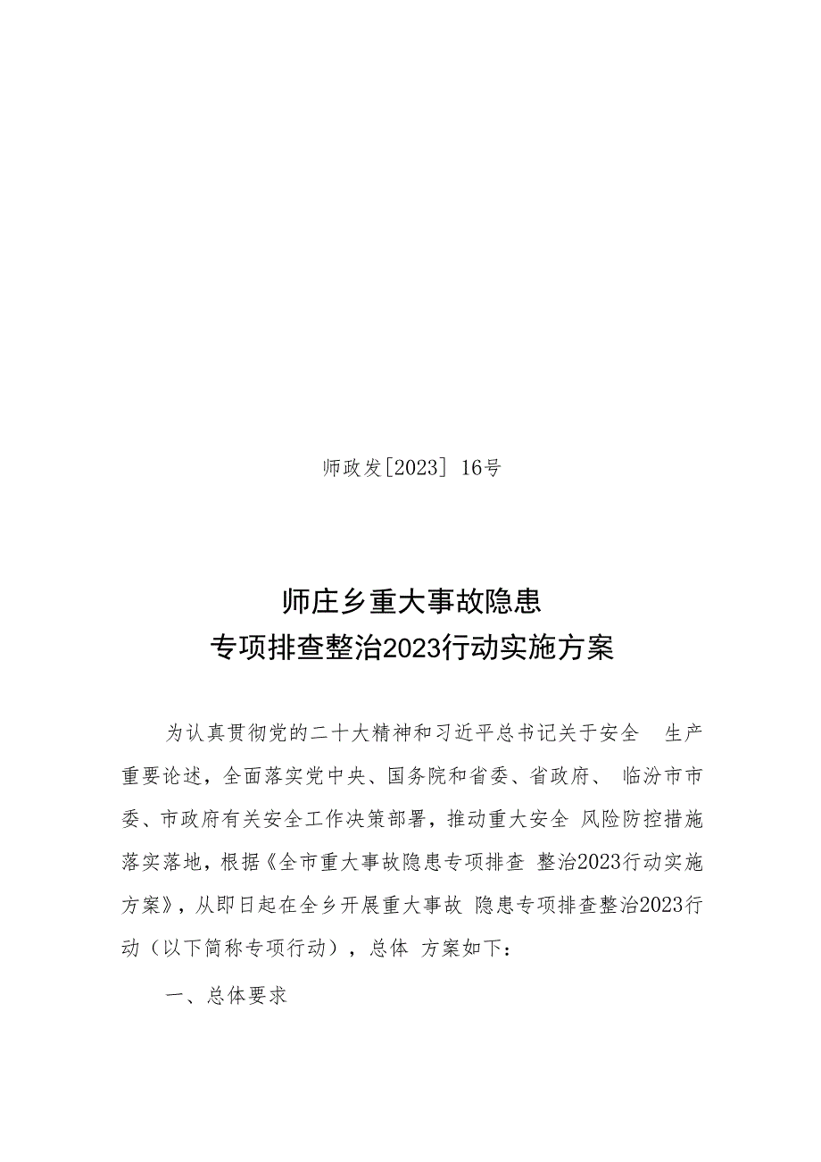 师庄乡重大事故隐患整治方案.docx_第1页