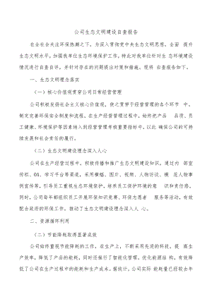 公司生态文明建设自查报告.docx