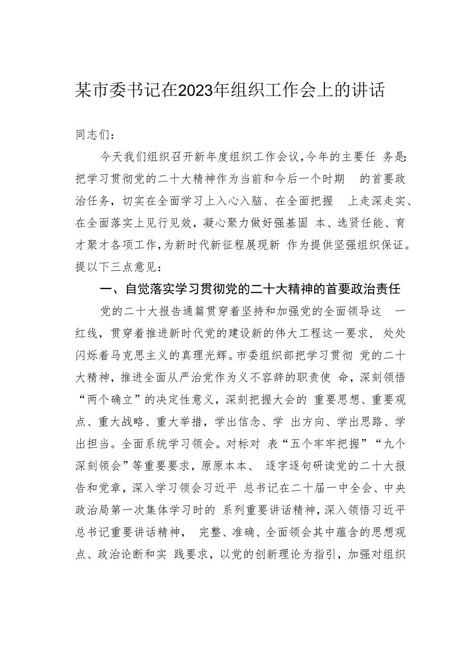 某某市委书记在2023年组织工作会上的讲话.docx_第1页