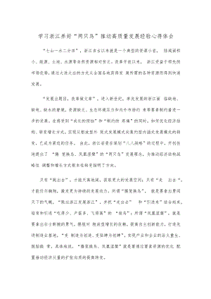 学习浙江养好“两只鸟”推动高质量发展经验心得体会.docx