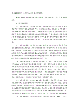 全县组织工作上半年总结及下半年思路.docx