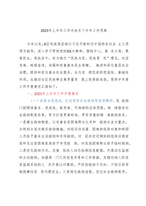 民政局2023年上半年工作总结及下半年工作思路.docx