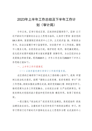 2023年上半年工作总结及下半年工作计划（审计局）.docx