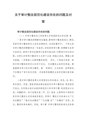 关于审计整改规范化建设存在的问题及对策.docx