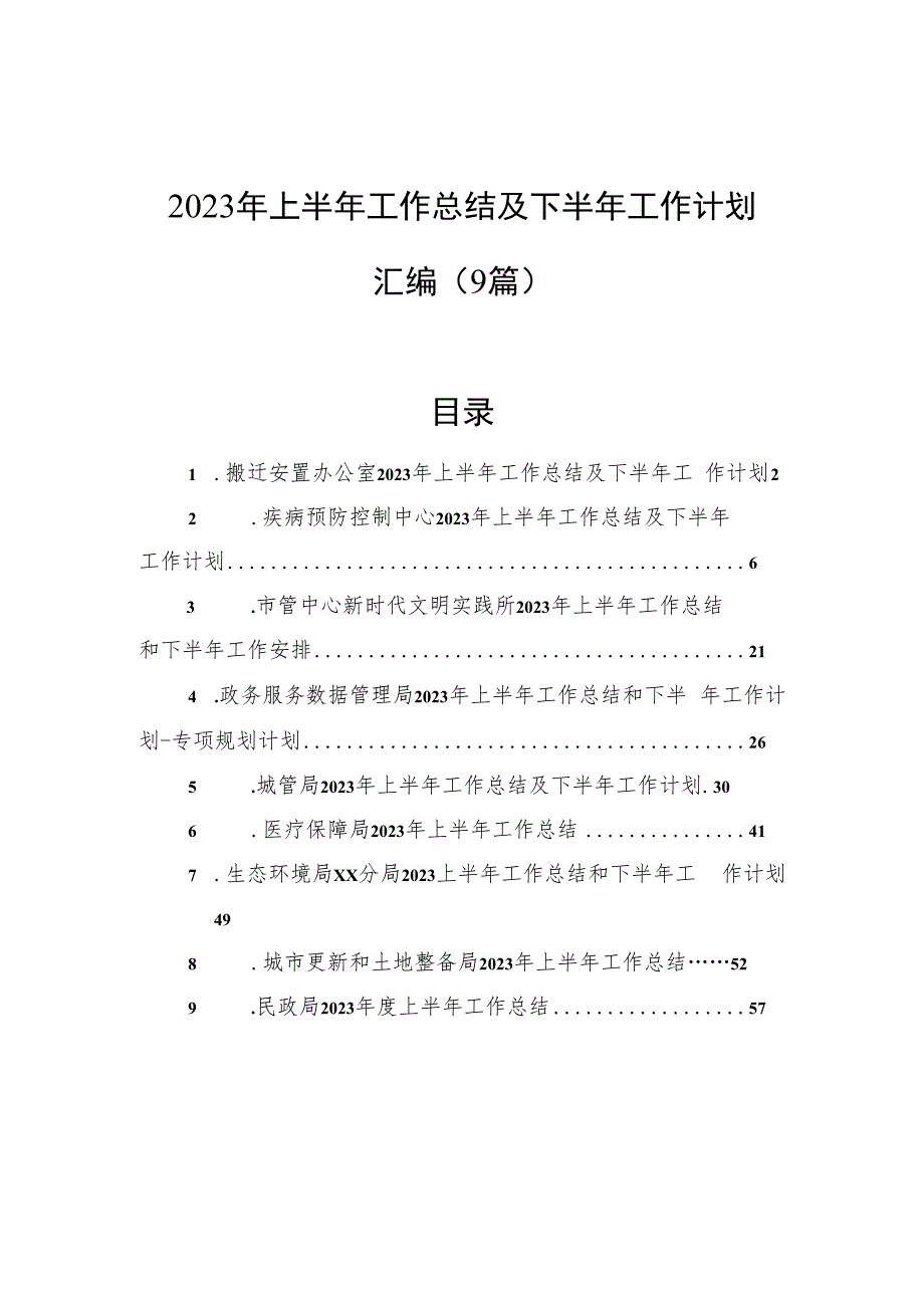 2023年上半年工作总结及下半年工作计划汇编（9篇）.docx_第1页