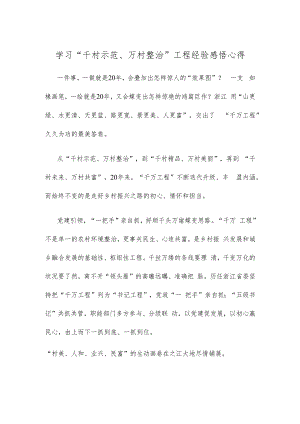 学习“千村示范、万村整治”工程经验感悟心得.docx