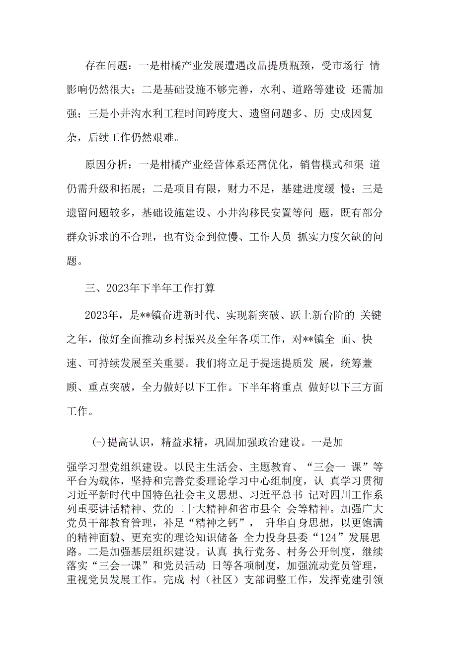 镇2023年上半年工作总结和下半年工作打算.docx_第3页