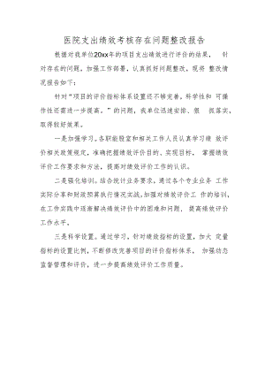 医院支出绩效考核存在问题整改报告.docx