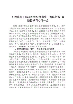 纪检监察干部2023年纪检监察干部队伍教育整顿学习心得体会精选(八篇)例文.docx