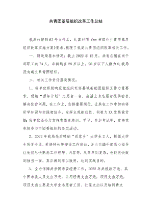 共青团基层组织改革工作总结.docx