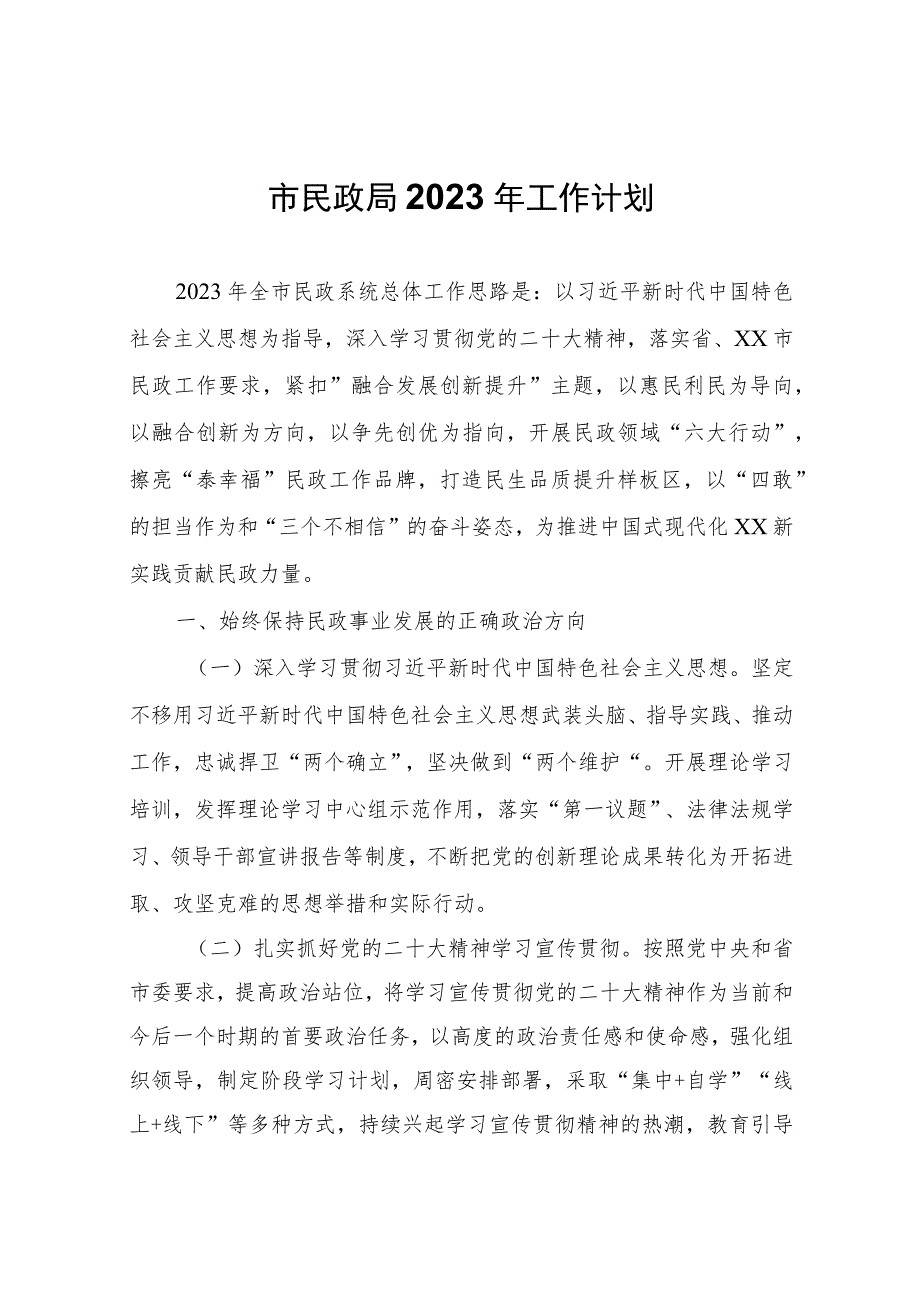 市民政局2023年工作计划.docx_第1页