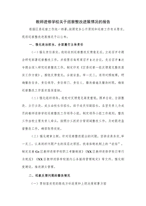 教师进修学校关于巡察整改进展情况的报告（十三页）.docx