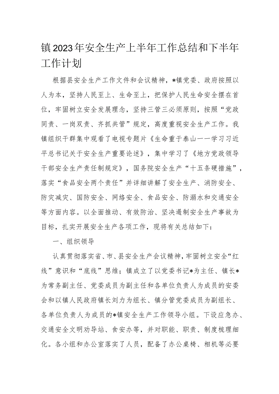 镇2023年安全生产上半年工作总结和下半年工作计划.docx_第1页