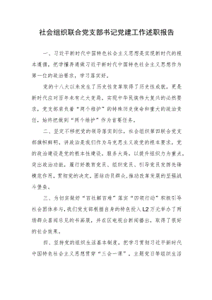 社会组织联合党支部书记党建工作述职报告.docx