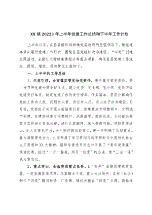 镇20223年上半年党建工作总结和下半年工作计划.docx