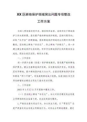 XX区耕地保护领域突出问题专项整改工作方案.docx