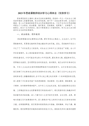 2023年思政课教师培训学习心得体会（八页）.docx